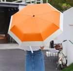 Compact Small Travel Umbrella - Arc 46 Inch, Automatic Umbrella Folding Beautiful Umbrella, Portable & Lightweight Umbrella's for Rain&Sun, Perfect Women Themed Gifts Umbrella… - Image 2