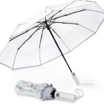 Small Clear Umbrella for Rain, 42 Inch Women and Men Use, Weddings, Proms, and Special Events, Auto Open & Close